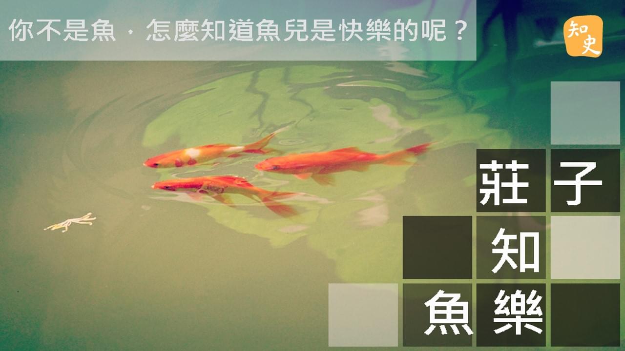 莊子知魚樂｜ 講古佬