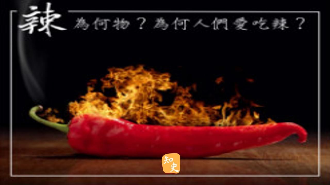 辣為何物？為何人們愛吃辣？｜辣為何物