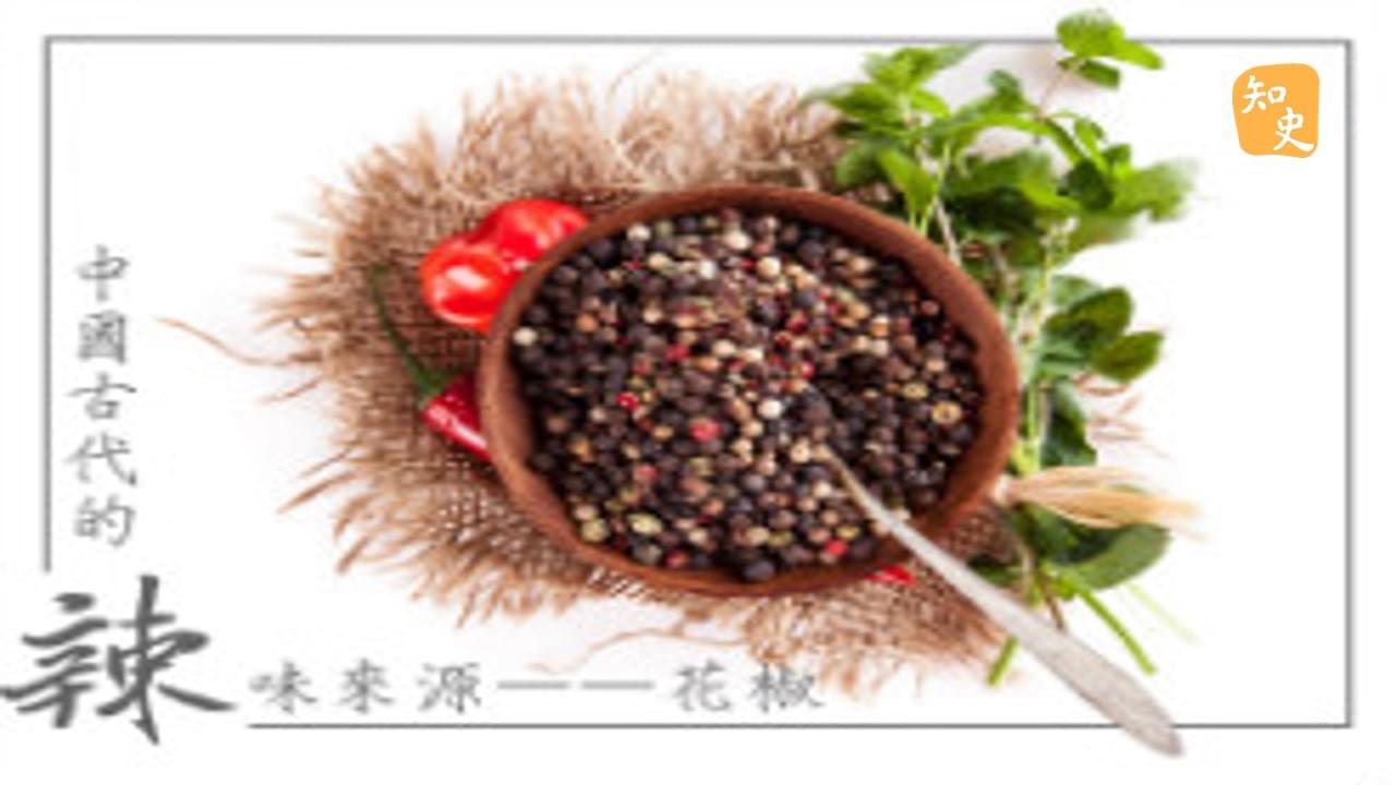 中國古代的辣味來源——花椒｜辣為何物