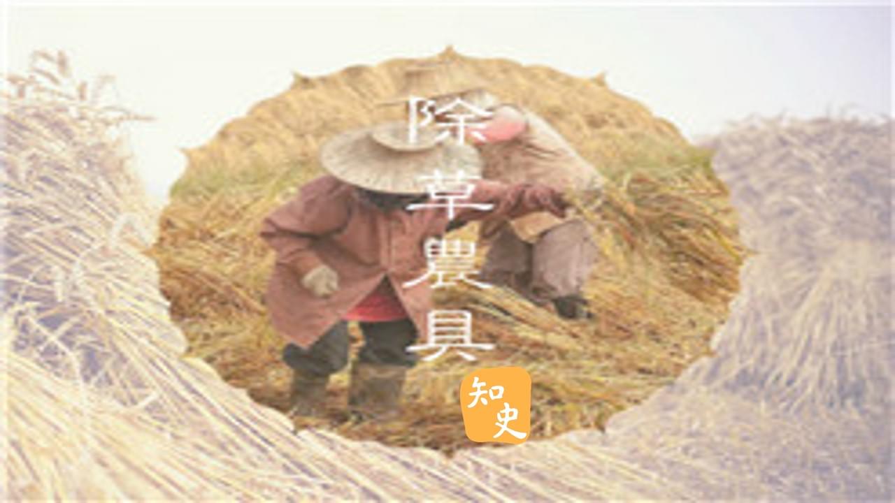 除草，不一定要用人手拔的｜五穀豐登