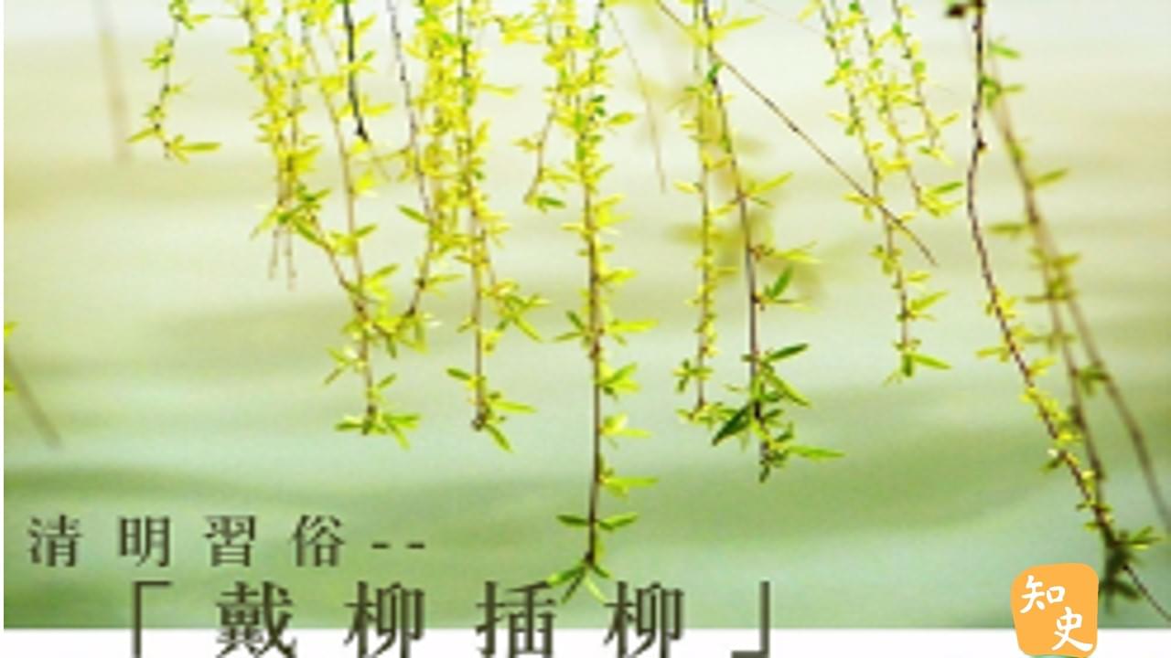 清明習俗-「戴柳插柳」｜細說清明