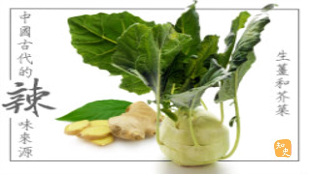 中國古代的辣味來源——生薑和芥菜｜辣為何物