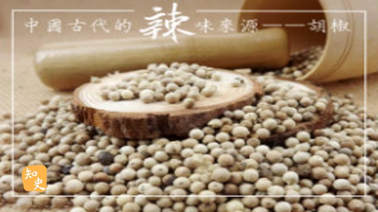 中國古代的辣味來源——胡椒｜辣為何物