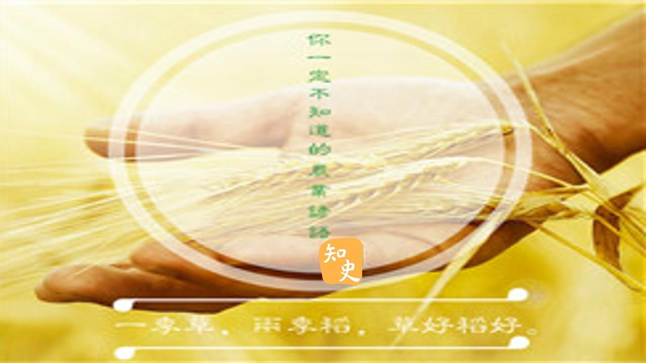 因地制宜的農業景觀｜五穀豐登