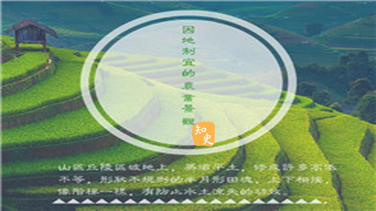 有哪些農業諺語？｜五穀豐登