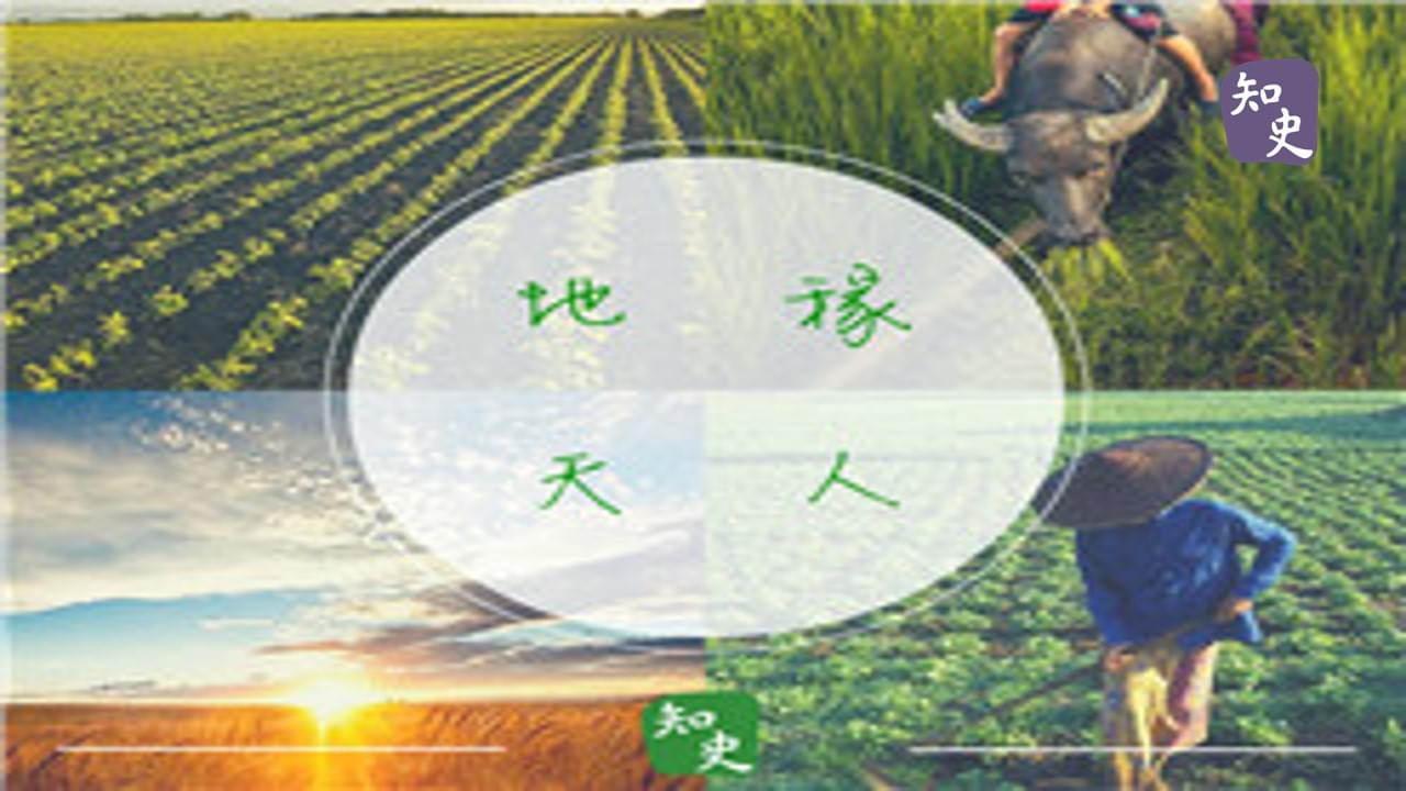 中國的農耕文明四大因素｜五穀豐登