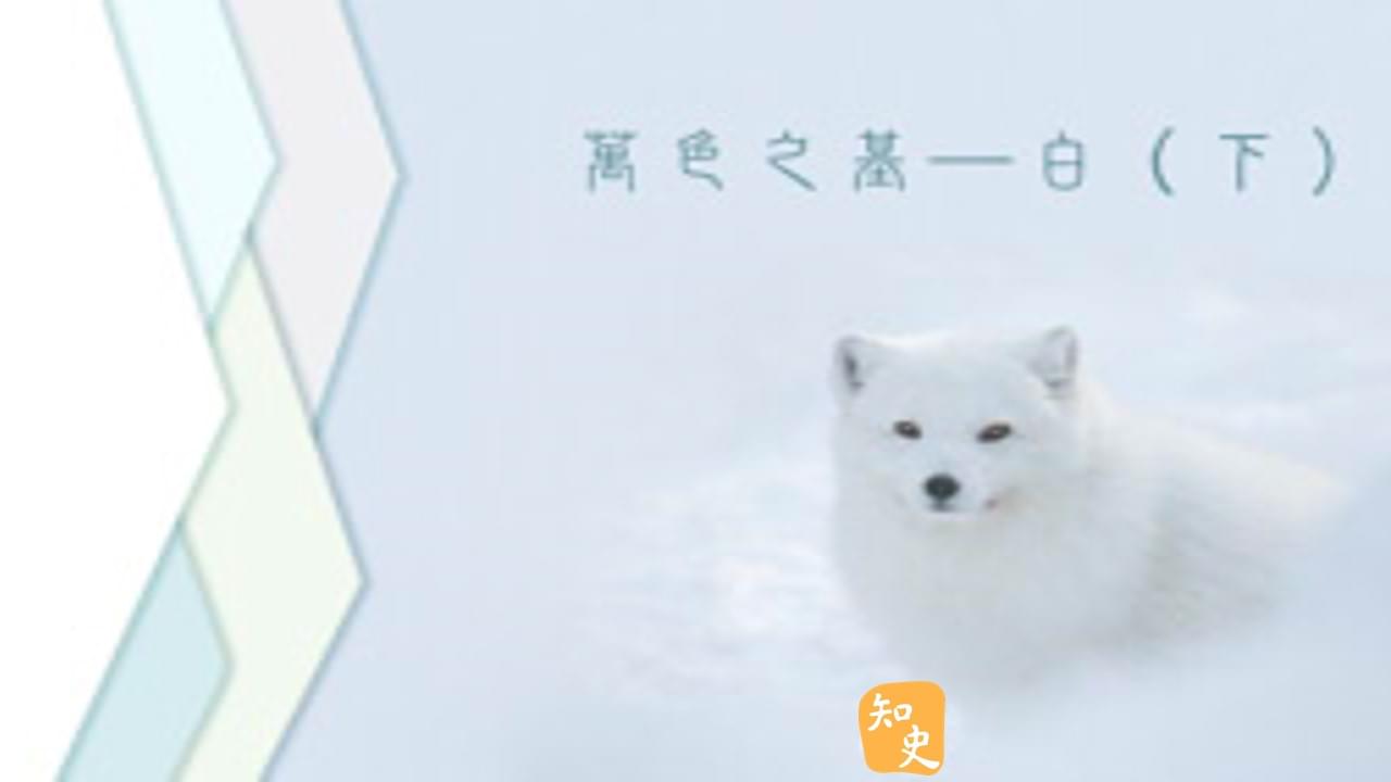 28.10 萬色之基——白（下）｜古色古香