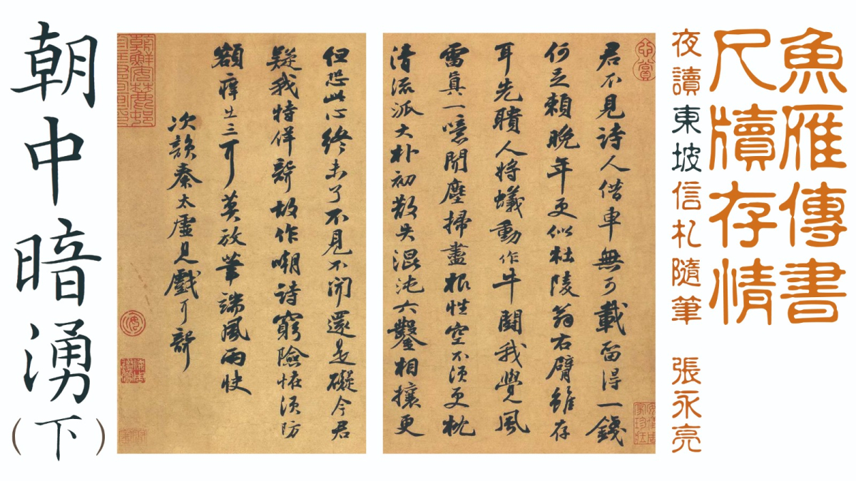 蘇書信